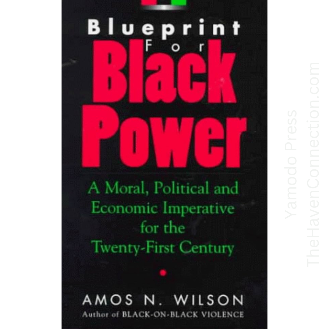 Blueprint For Black Power